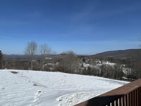 274 Hedgehog Hill Road N Mount Holly VT 05758