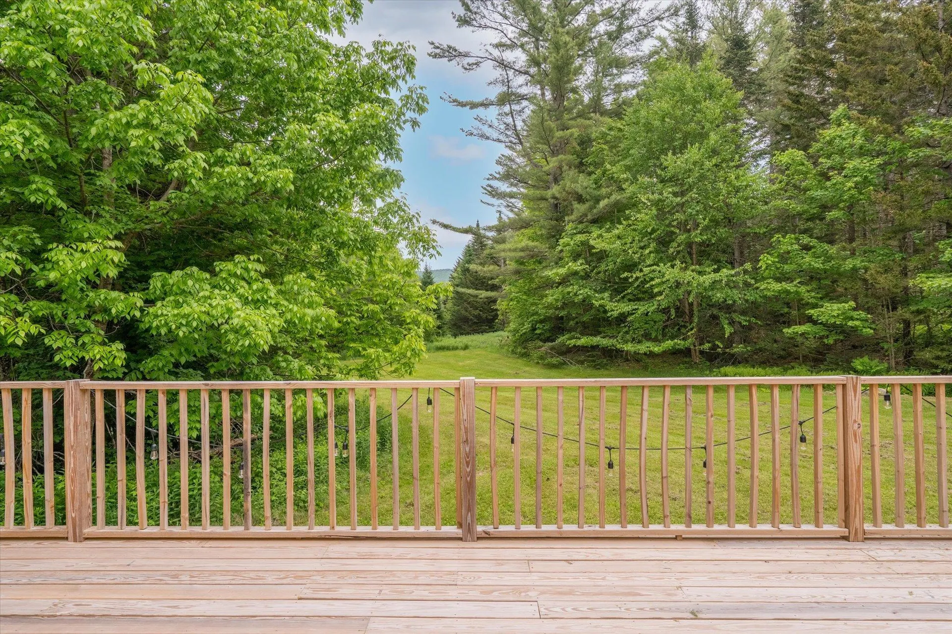 1595 Healdville Road Mount Holly VT 05758