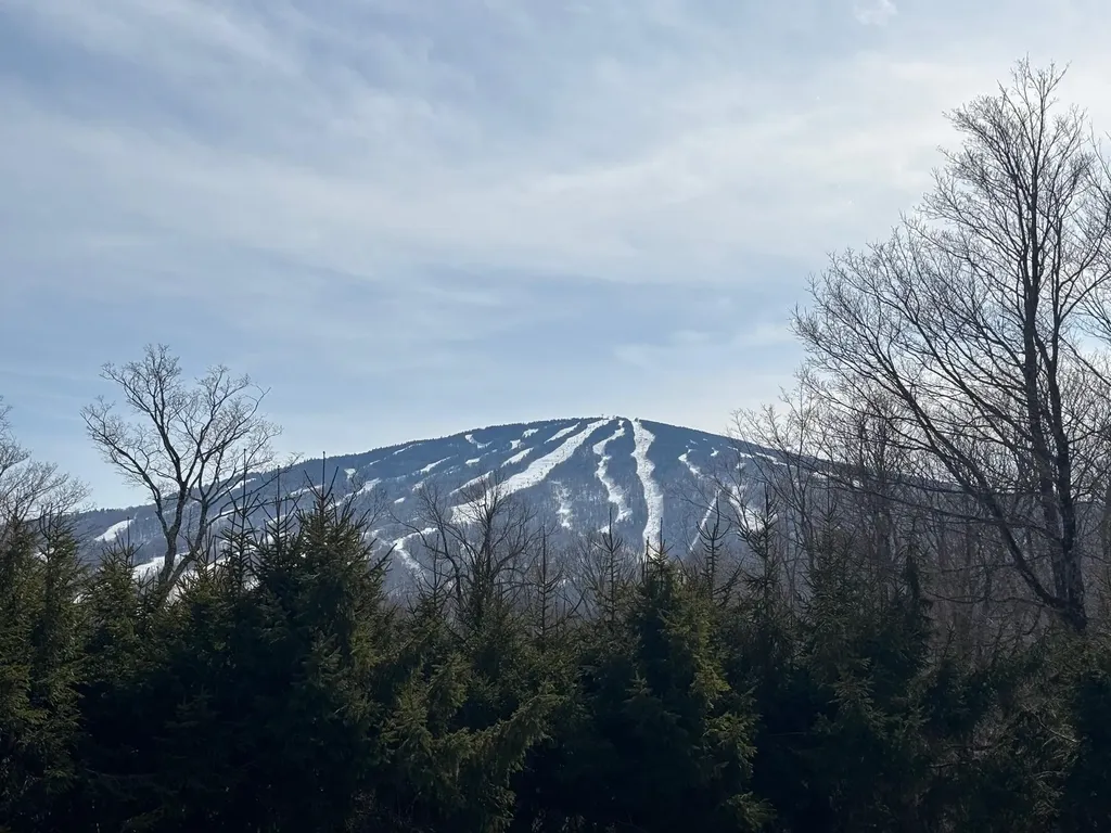 5 Red Hickory Road Winhall VT 05340