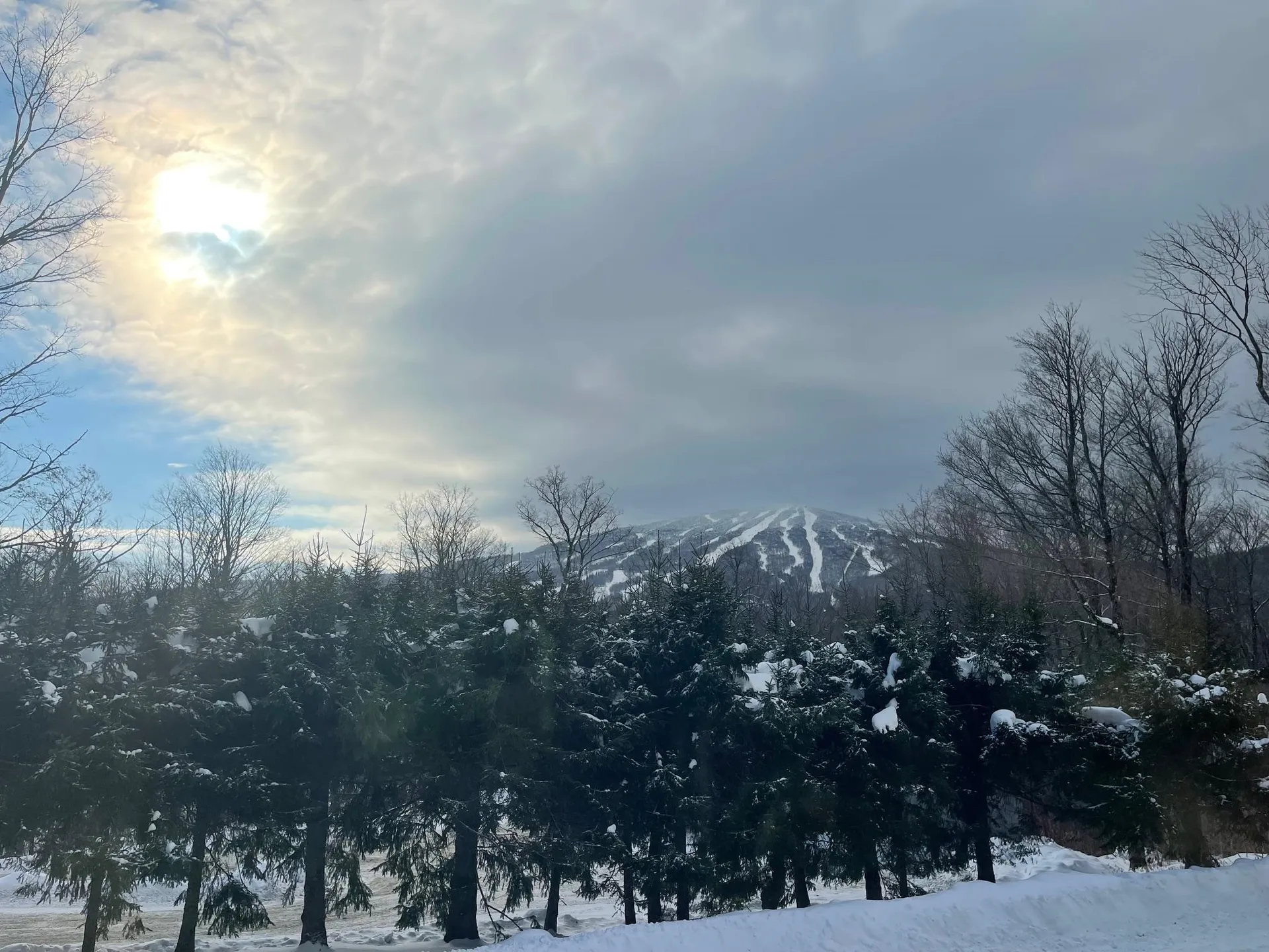 5 Red Hickory Road Winhall VT 05340