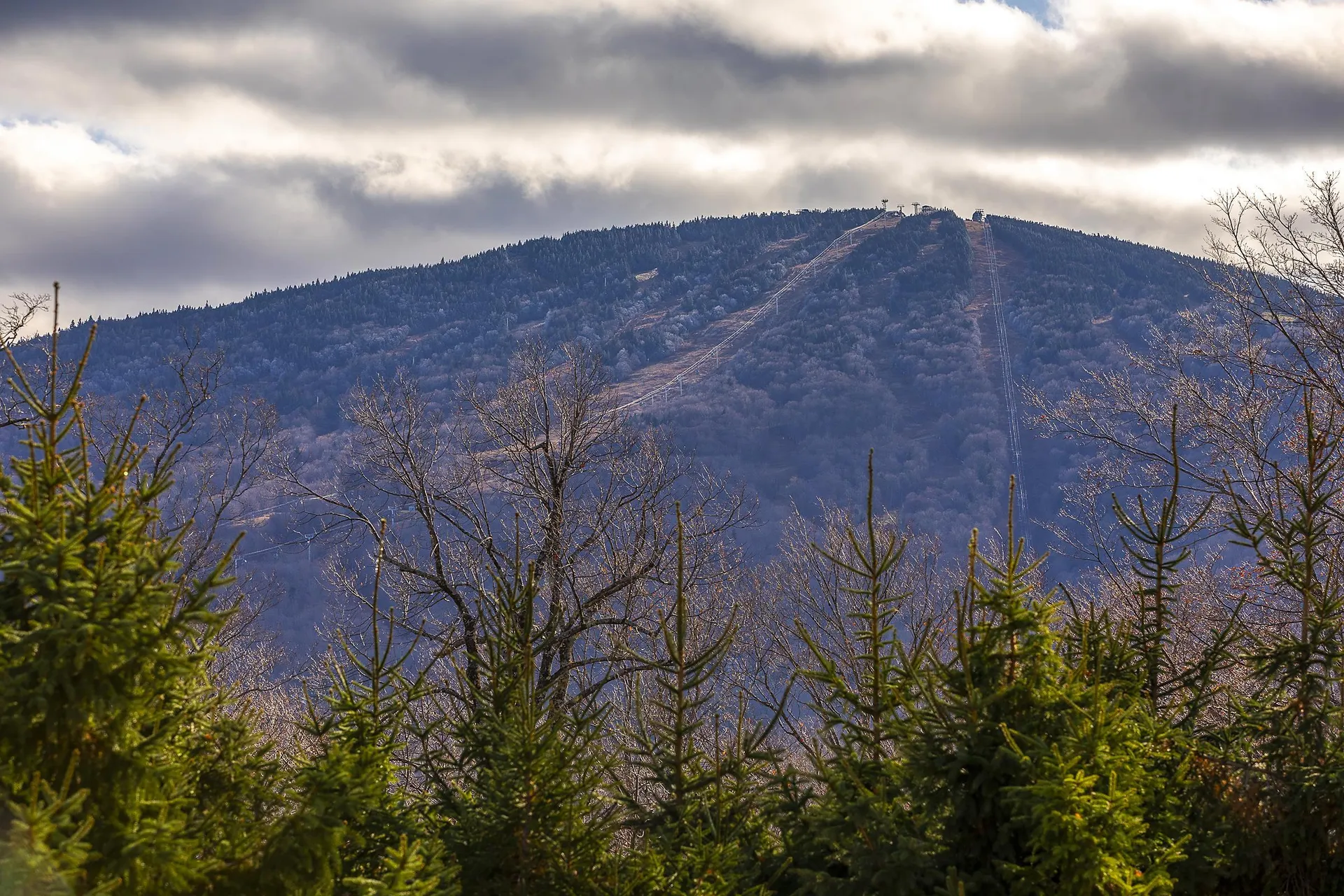 5 Red Hickory Road Winhall VT 05340