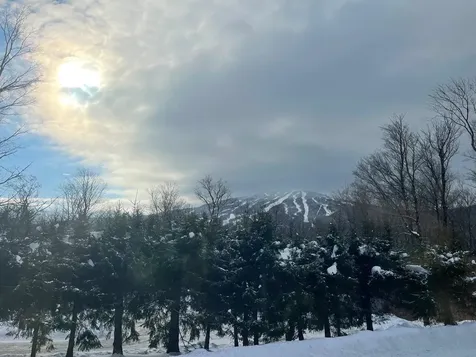 5 Red Hickory Road Winhall VT 05340