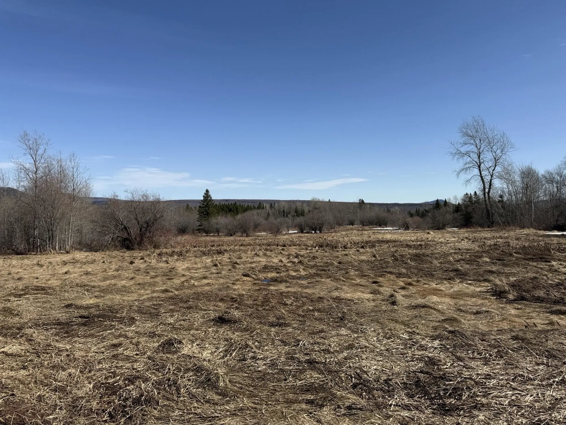 132 Lahue Road Holland VT 05830