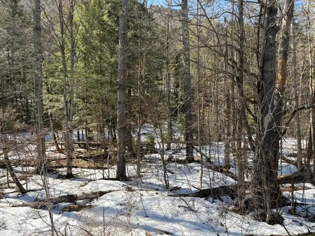 0 Route 107 Stockbridge VT 05772