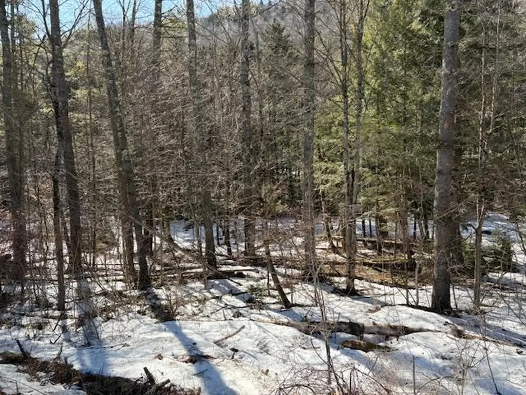 0 Route 107 Stockbridge VT 05772