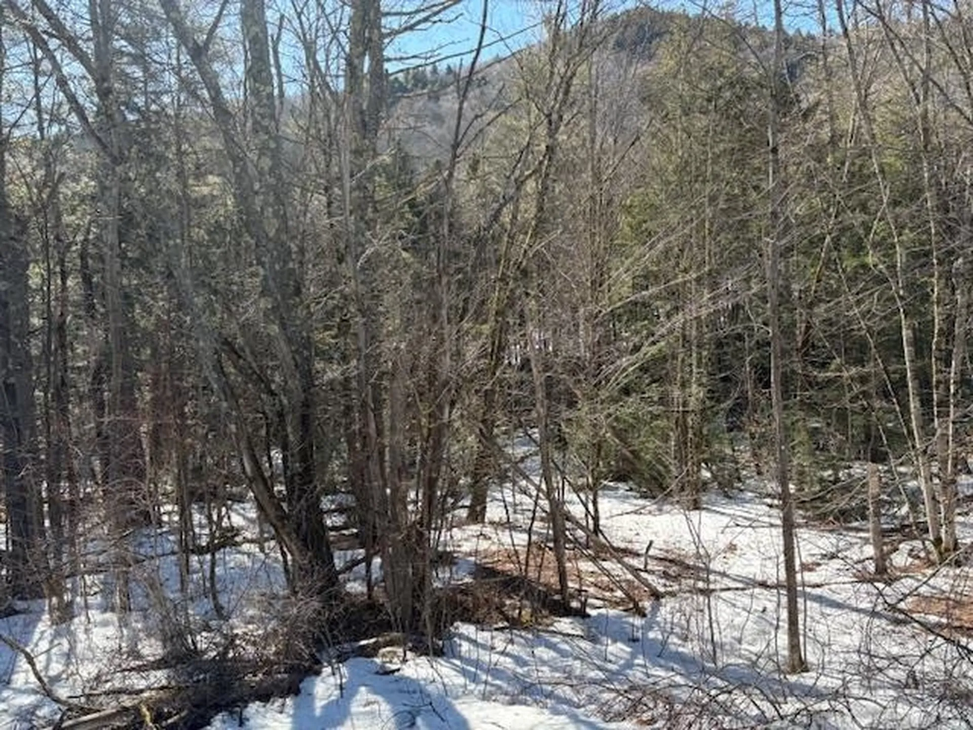 0 Route 107 Stockbridge VT 05772