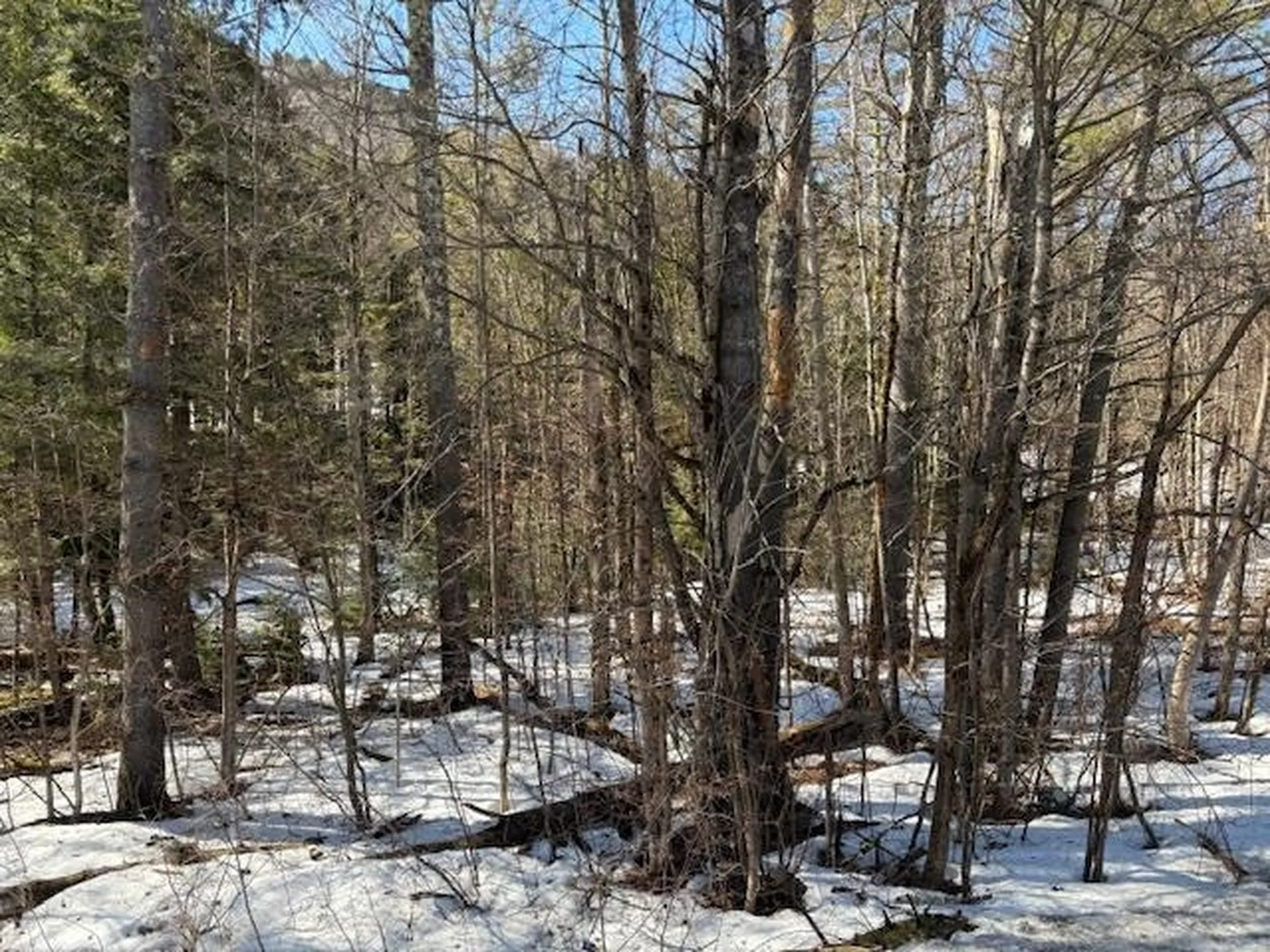 0 Route 107 Stockbridge VT 05772