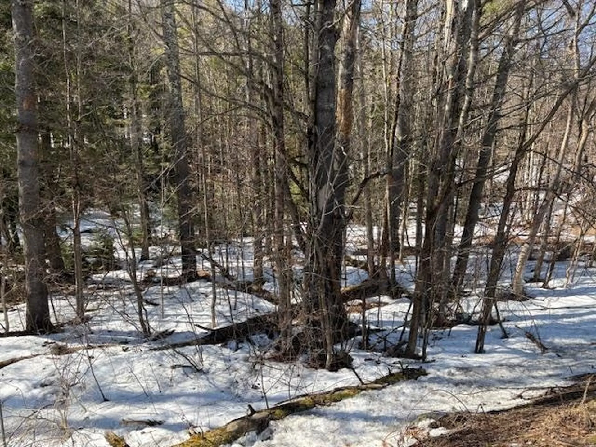 0 Route 107 Stockbridge VT 05772