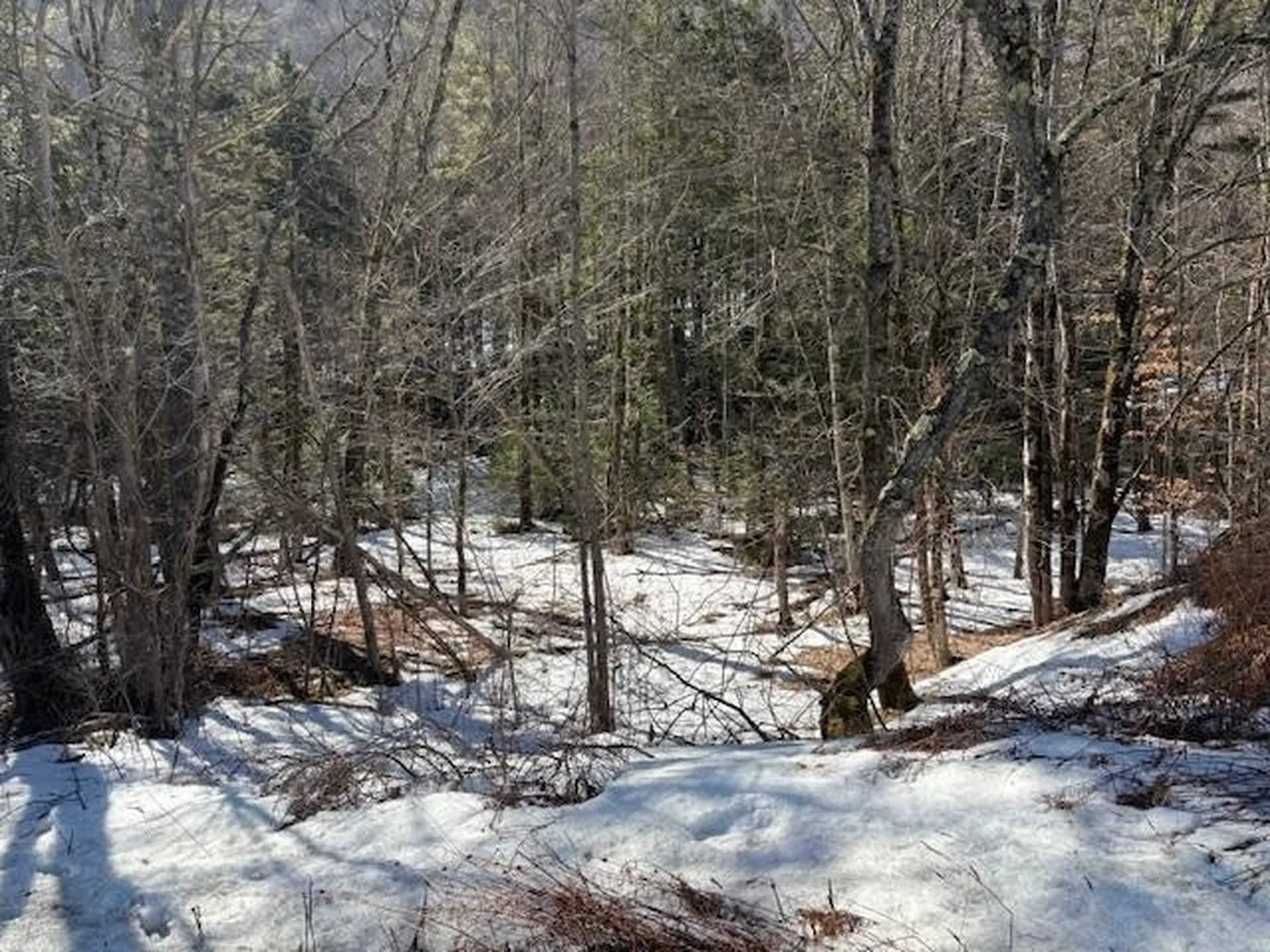 0 Route 107 Stockbridge VT 05772