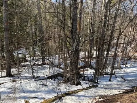 0 Route 107 Stockbridge VT 05772