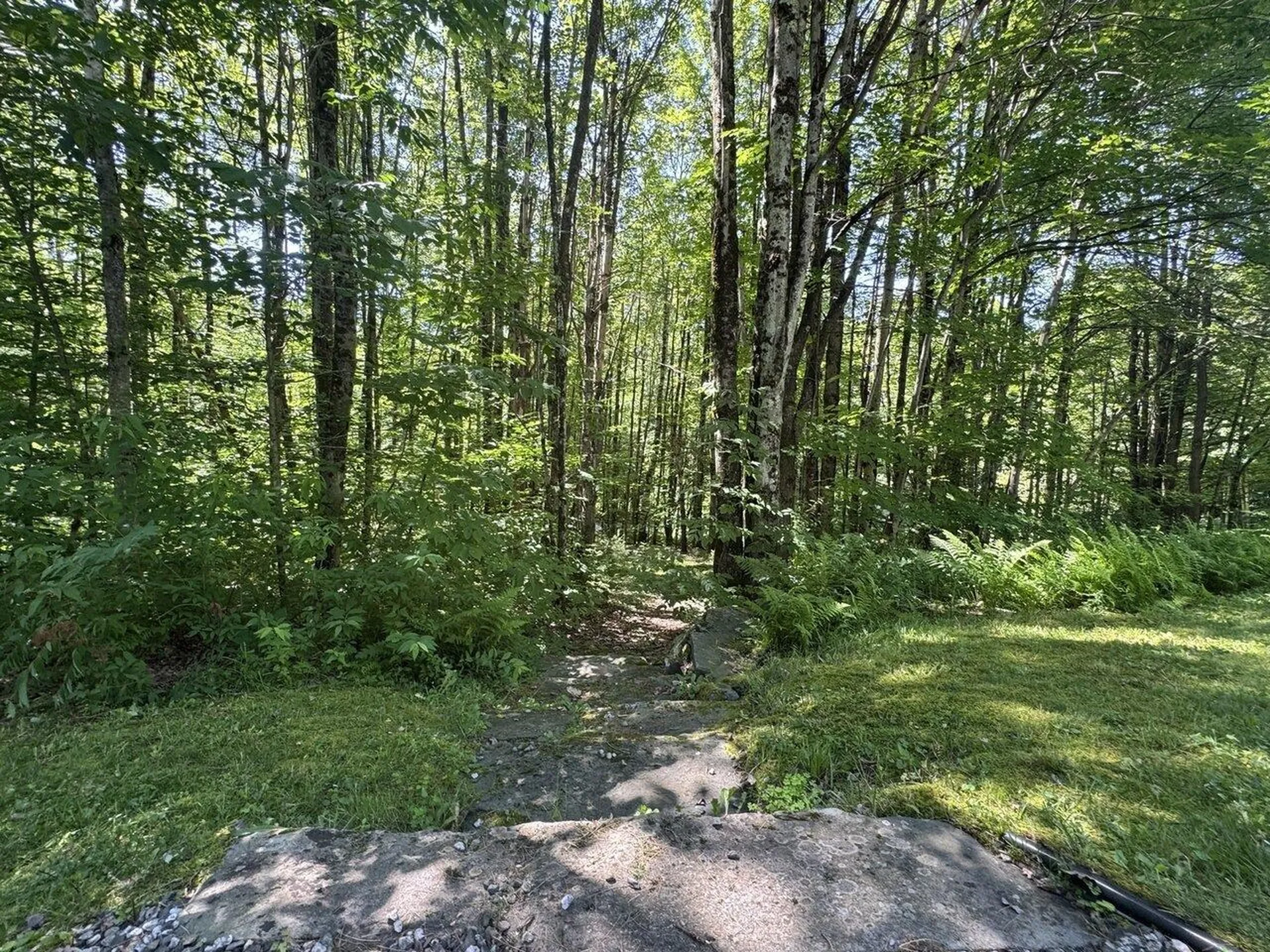 1752 Old Pump Road Essex VT 05452