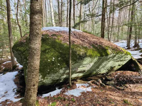 109 Owl's Way Brandon VT 05733