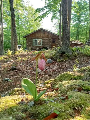 109 Owl's Way Brandon VT 05733
