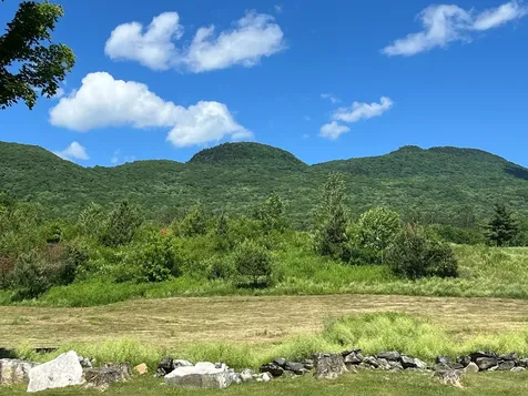 1728 Route 30 Dorset VT 05251