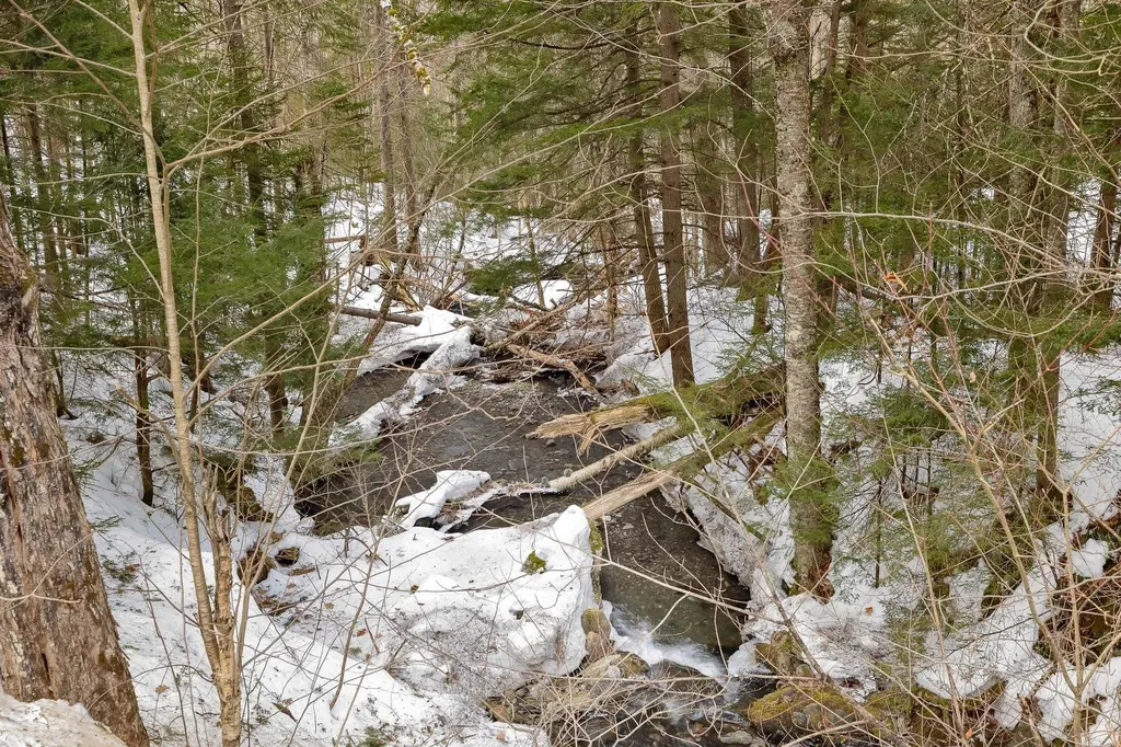 1118 Town Line Road Granville VT 05747