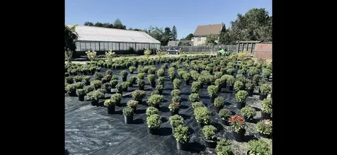 20 Elm Street Newport City VT 05855