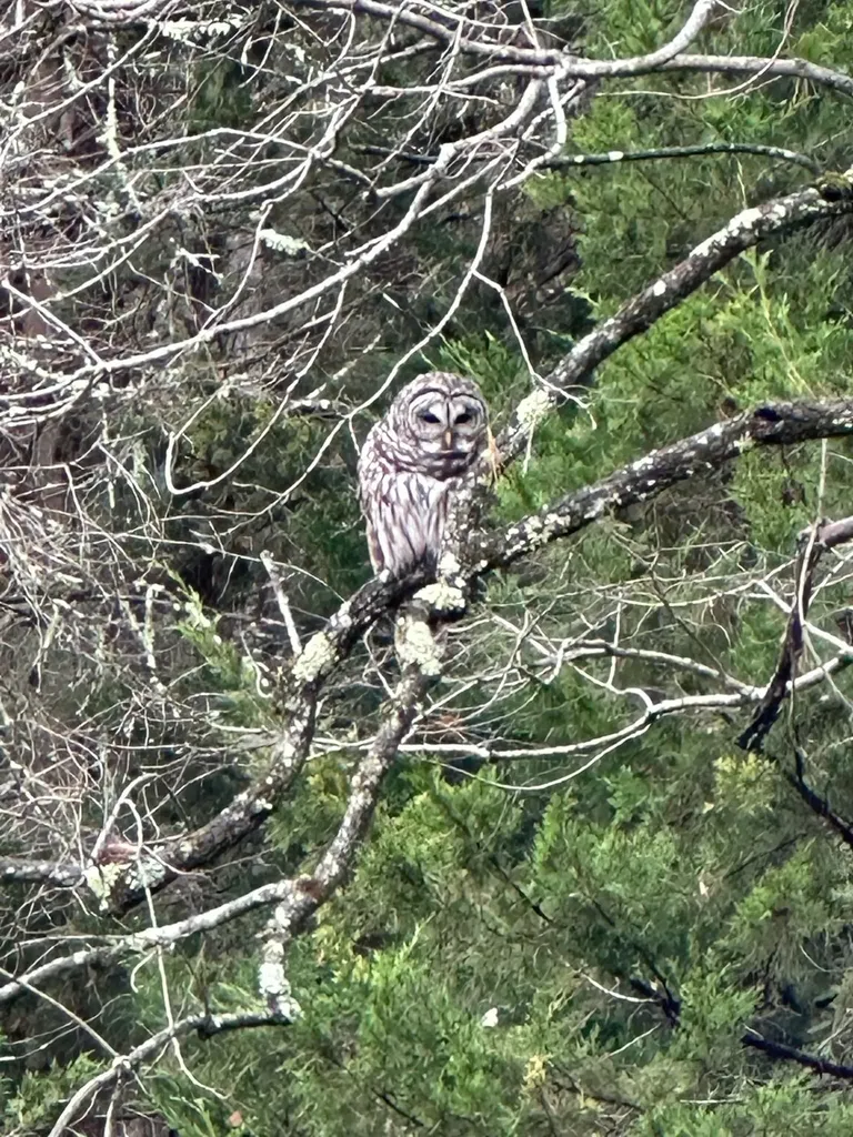 860 True North Way Jay VT 05859