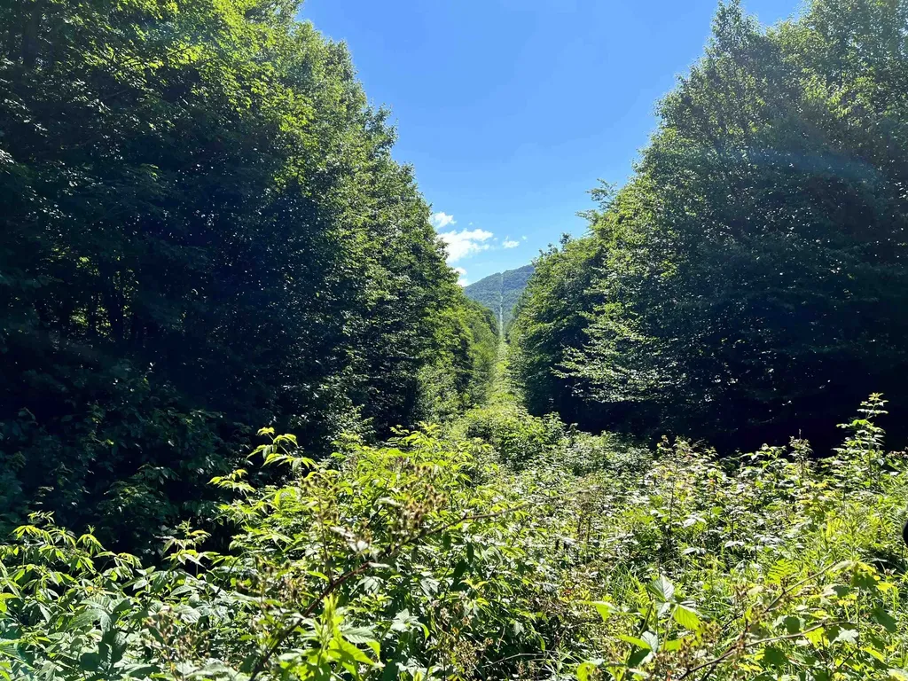 860 True North Way Jay VT 05859