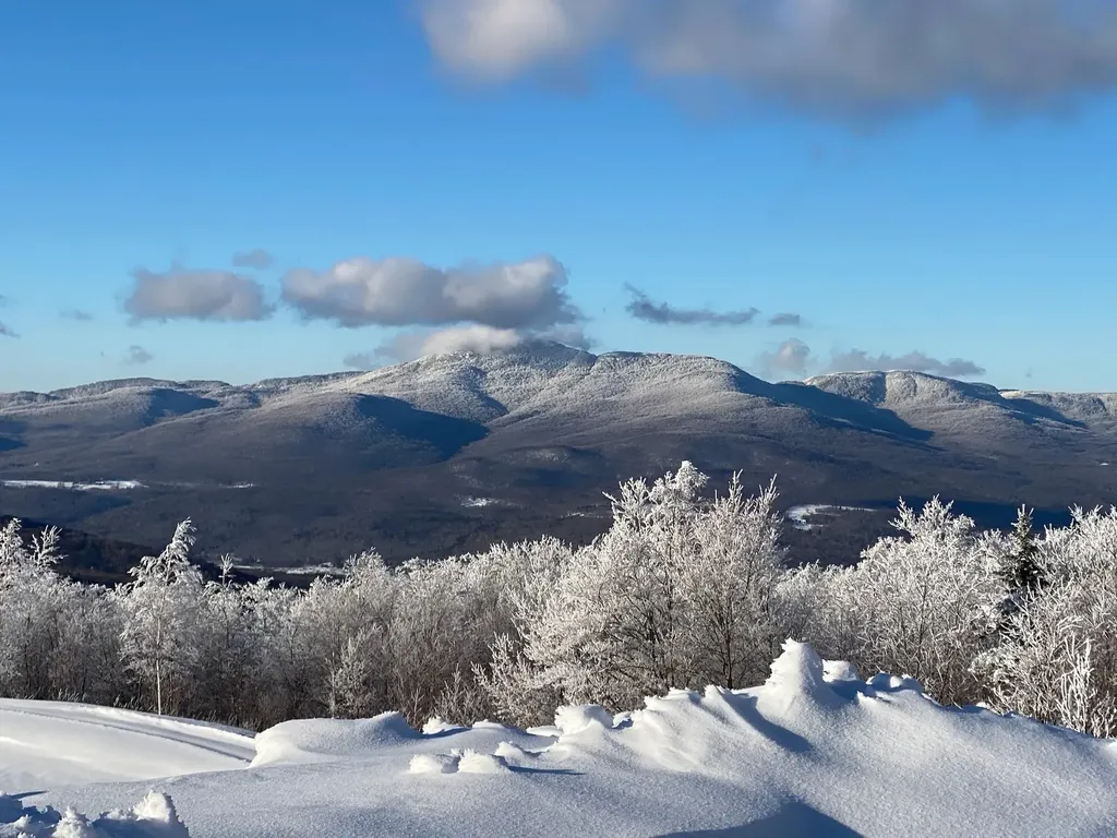 860 True North Way Jay VT 05859