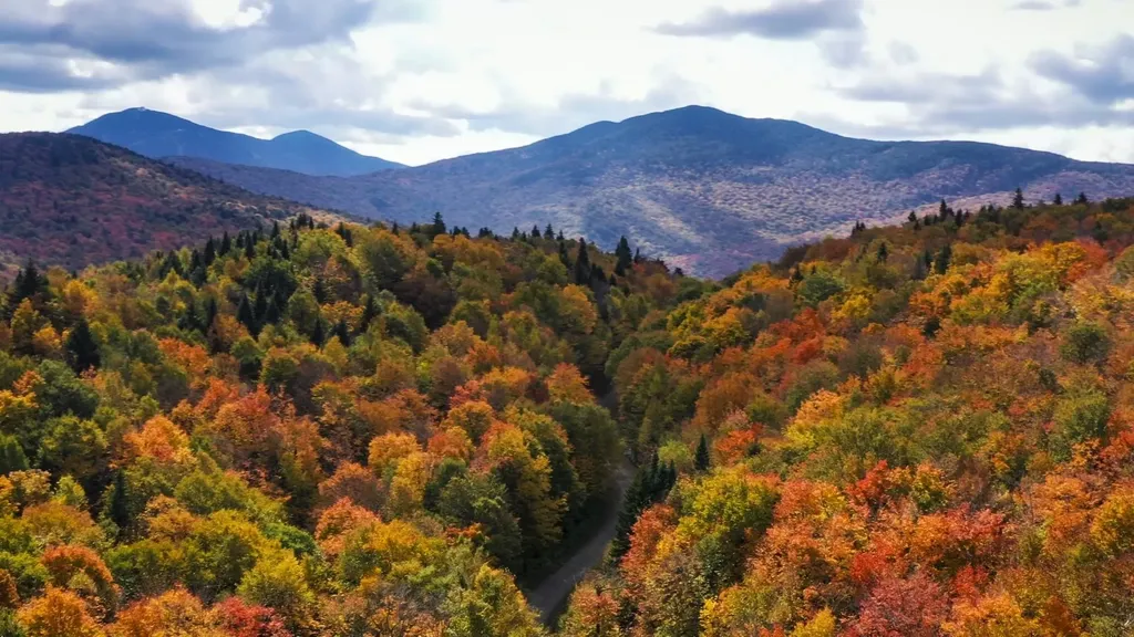 860 True North Way Jay VT 05859