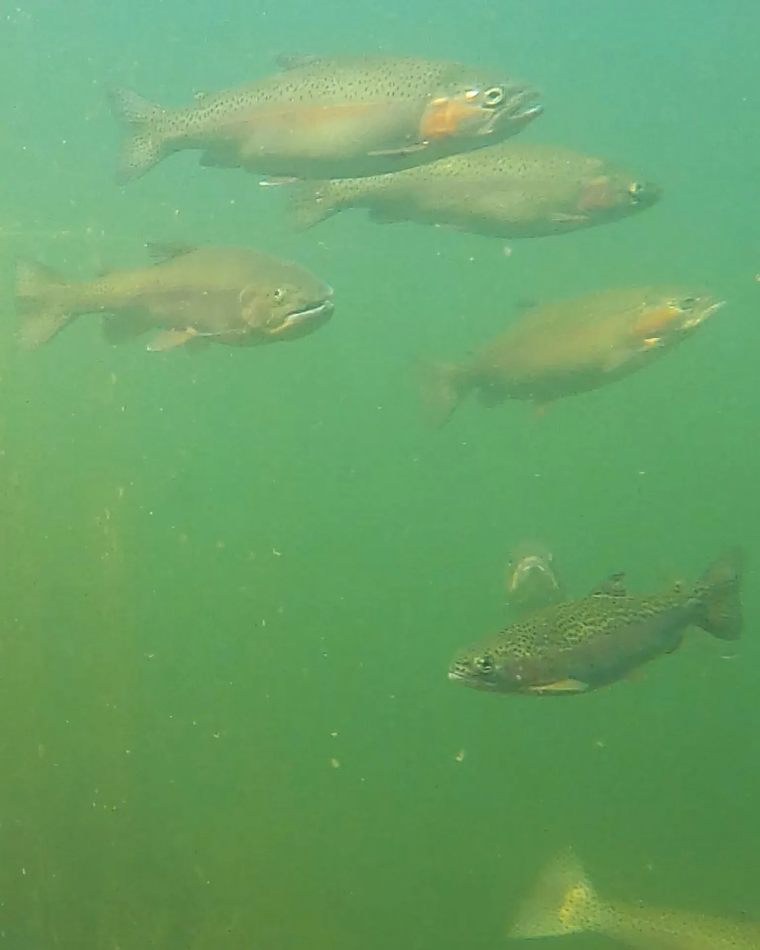 860 True North Way Jay VT 05859