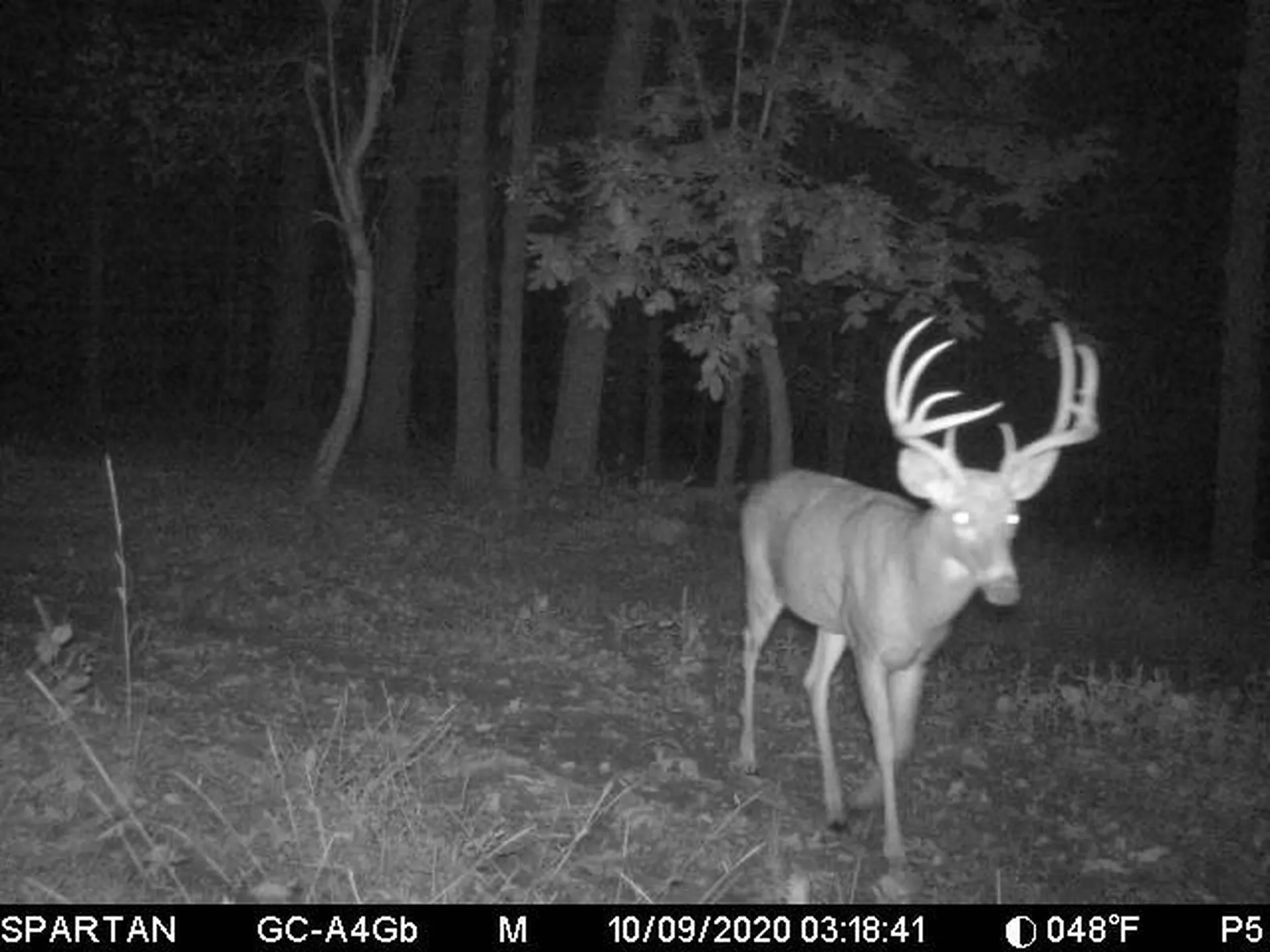 860 True North Way Jay VT 05859