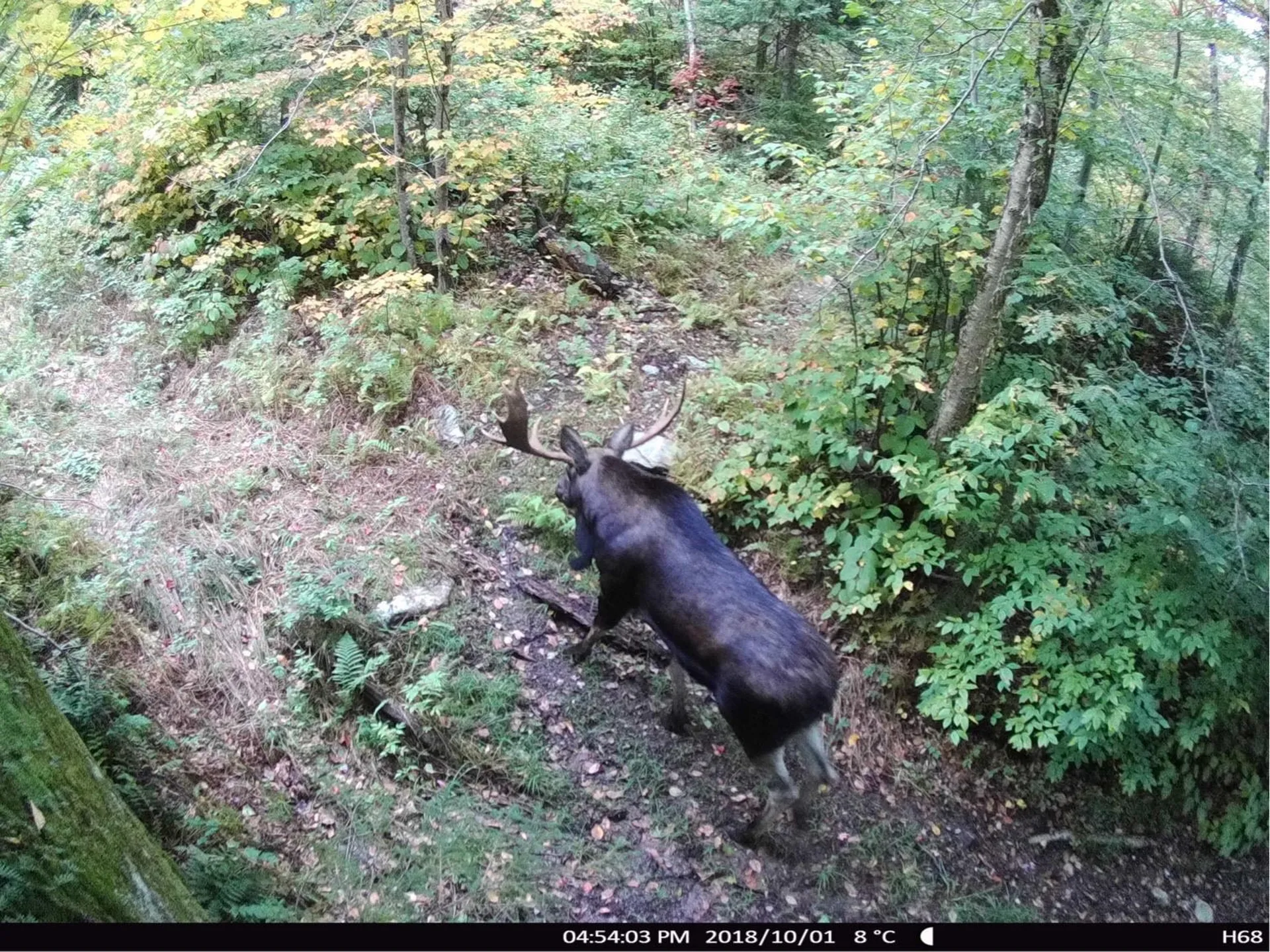 860 True North Way Jay VT 05859