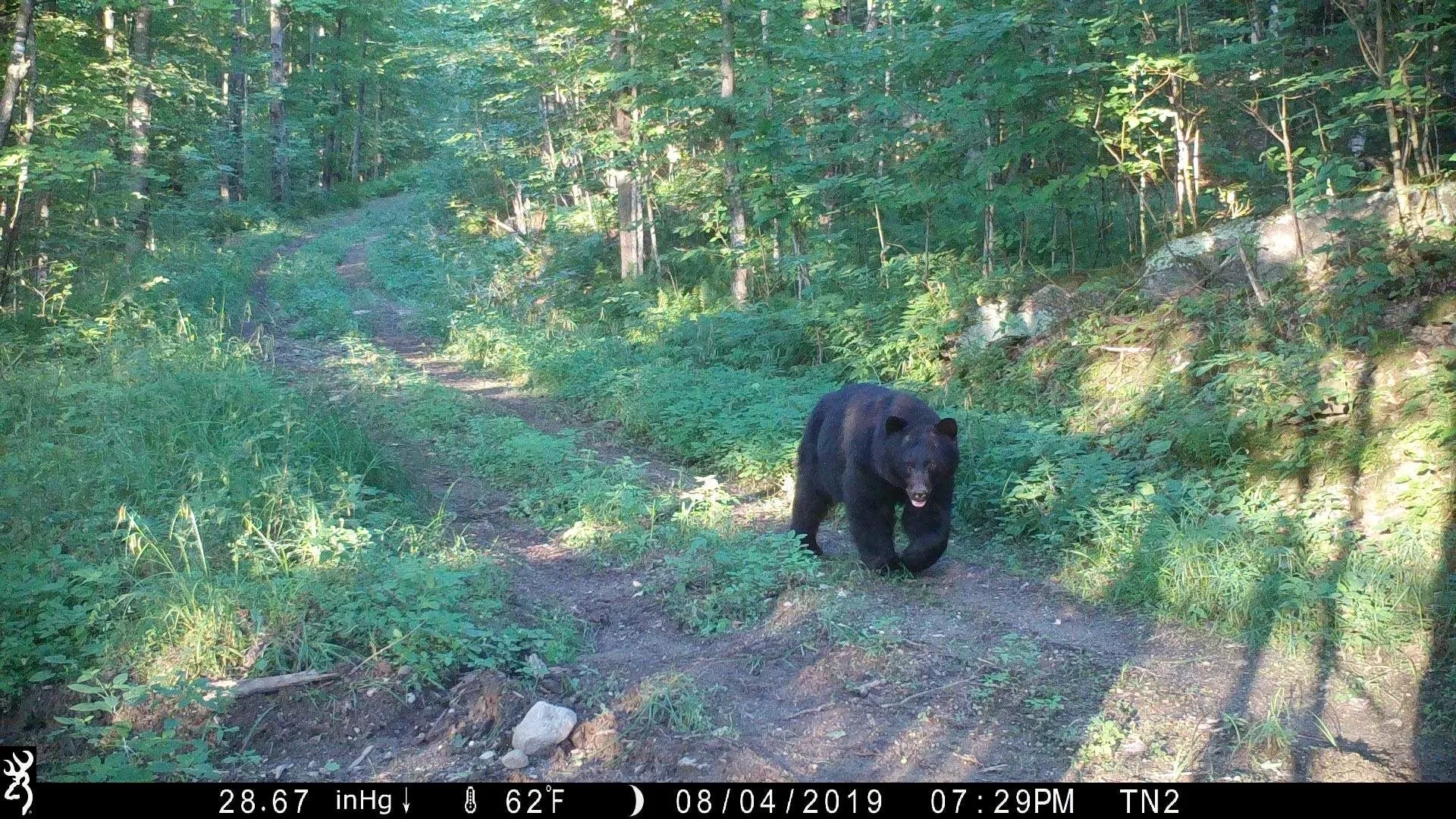 860 True North Way Jay VT 05859