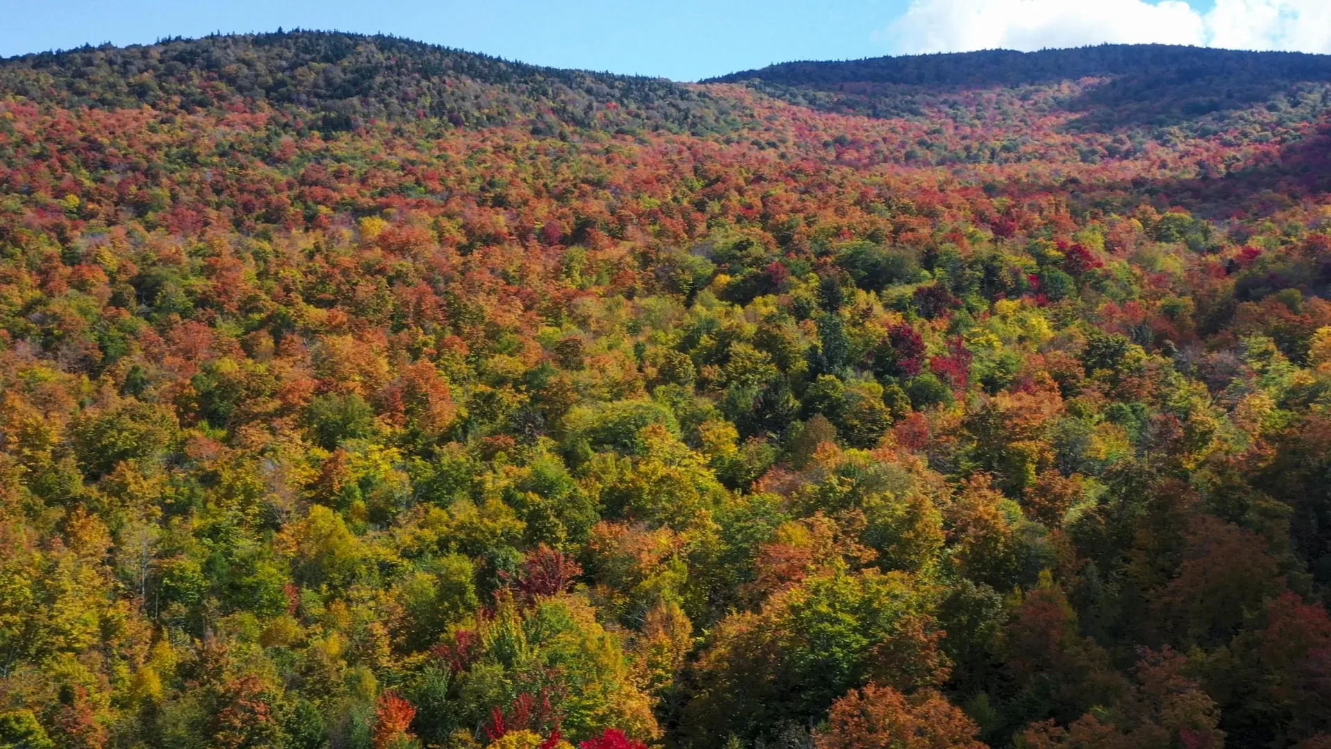 860 True North Way Jay VT 05859