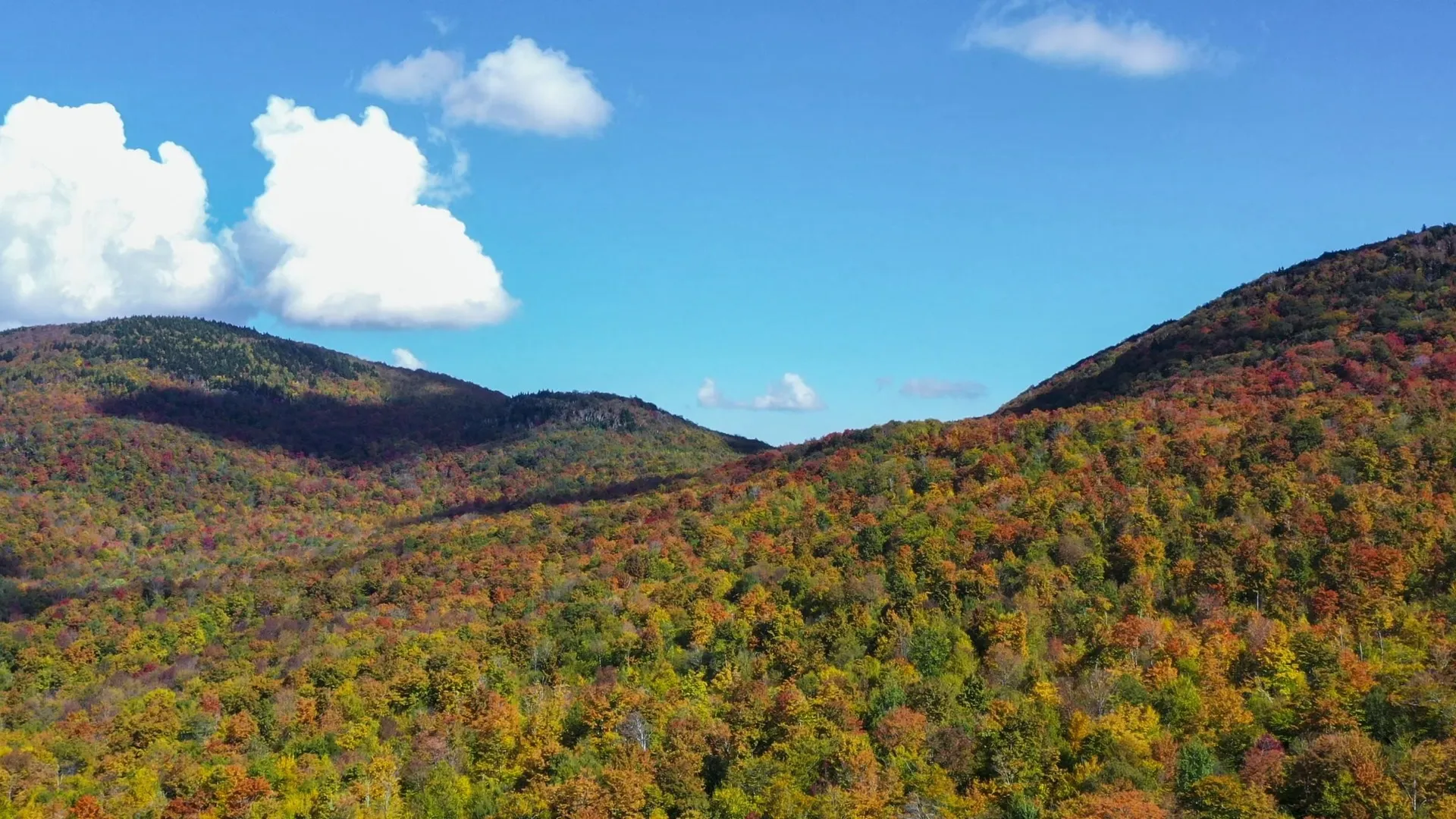 860 True North Way Jay VT 05859