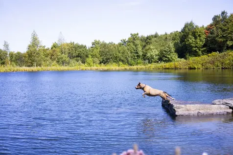 860 True North Way Jay VT 05859