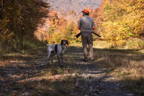 860 True North Way Jay VT 05859