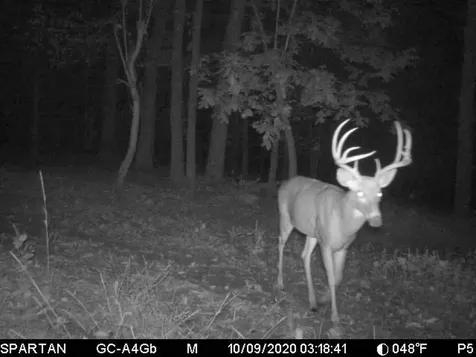 860 True North Way Jay VT 05859