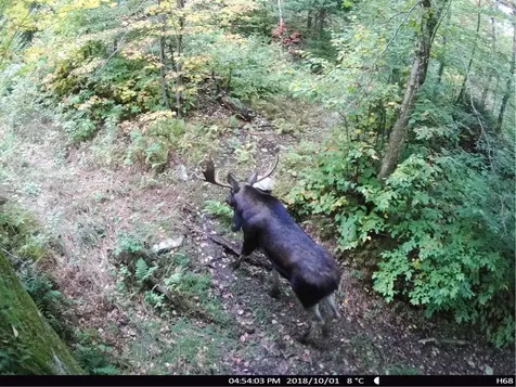 860 True North Way Jay VT 05859