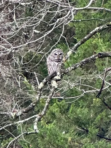 860 True North Way Jay VT 05859