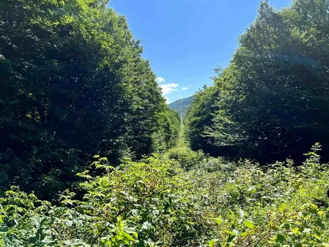 860 True North Way Jay VT 05859