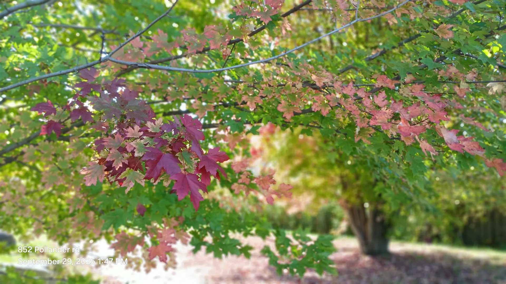 852 Pollander Road Cambridge VT 05464