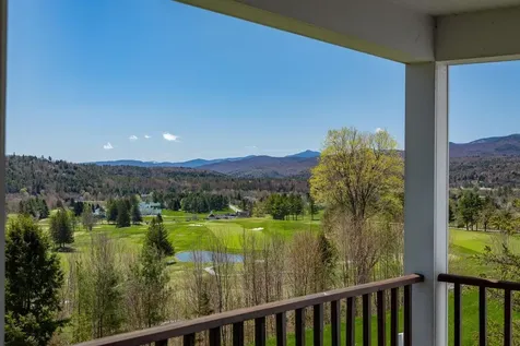 43 Perkins Lane Stowe VT 05672