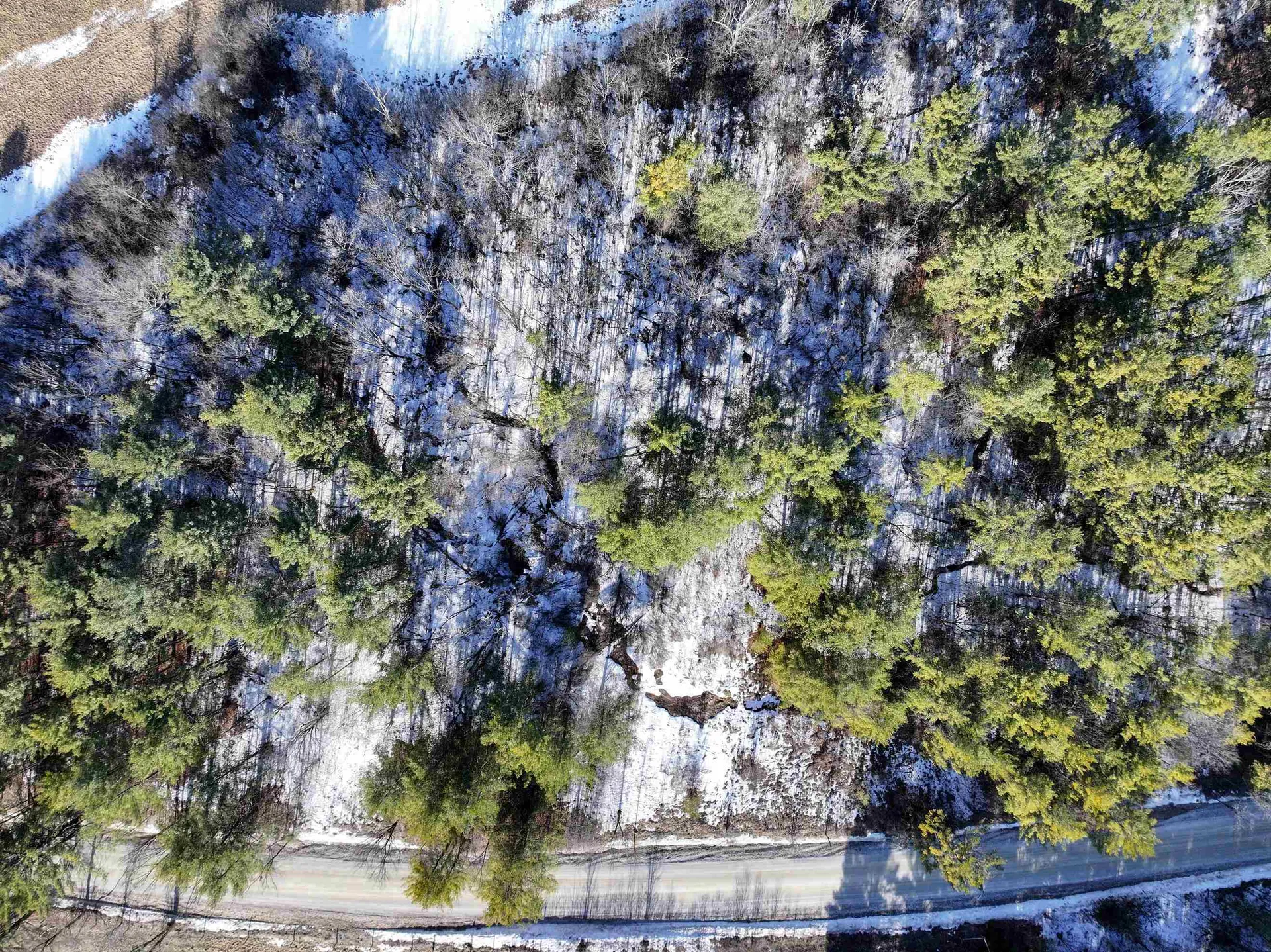 Tbd Old Saw Mill Road Orwell VT 05760