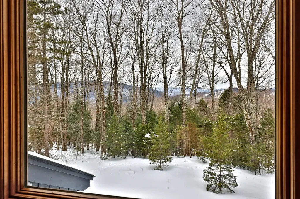 1645 Austin Hill Road Rochester VT 05767