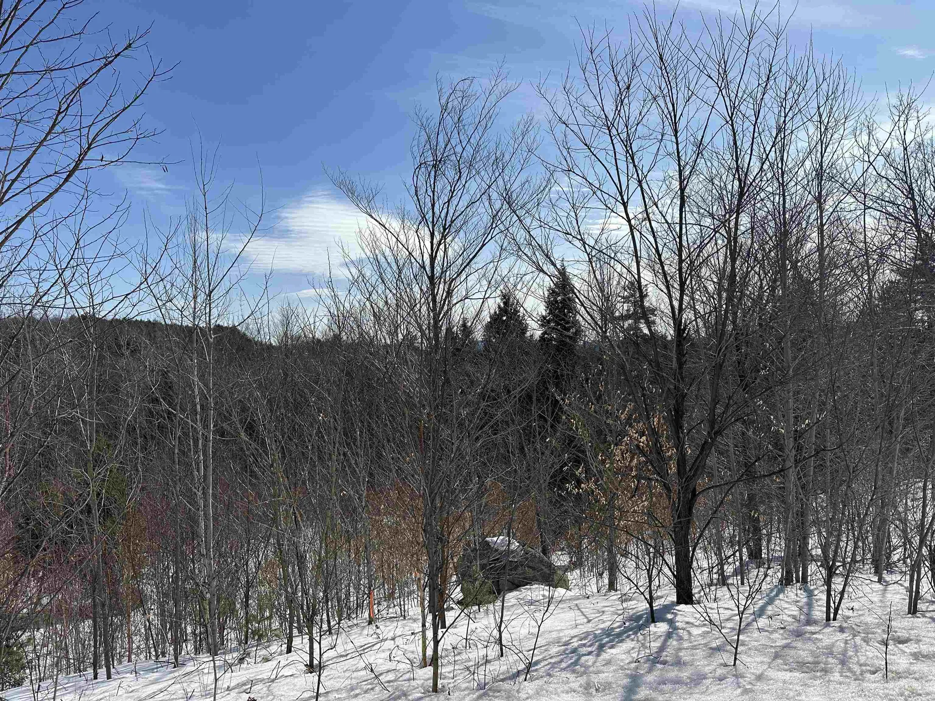 68 Grandview Road Conway NH 03818