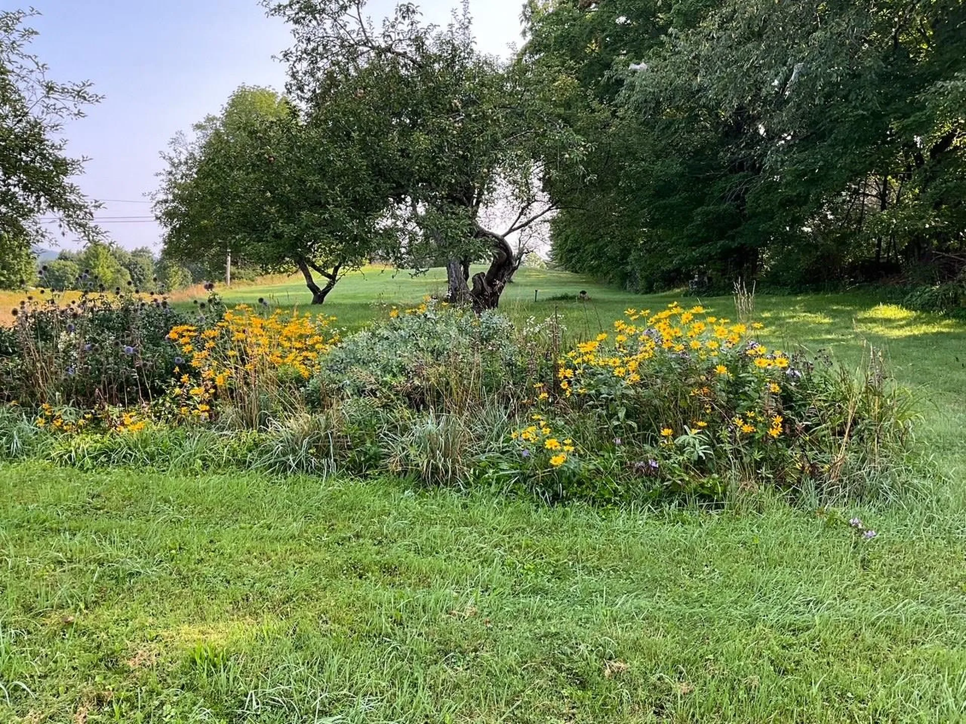 9521 County Road Calais VT 05648