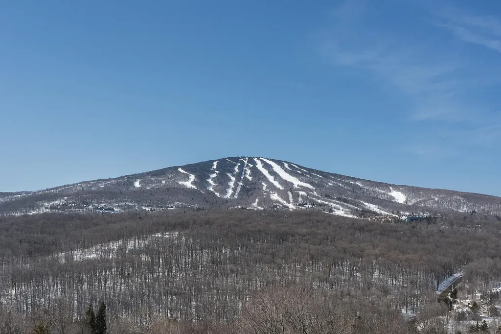 A6 Ridge Court Winhall VT 05340