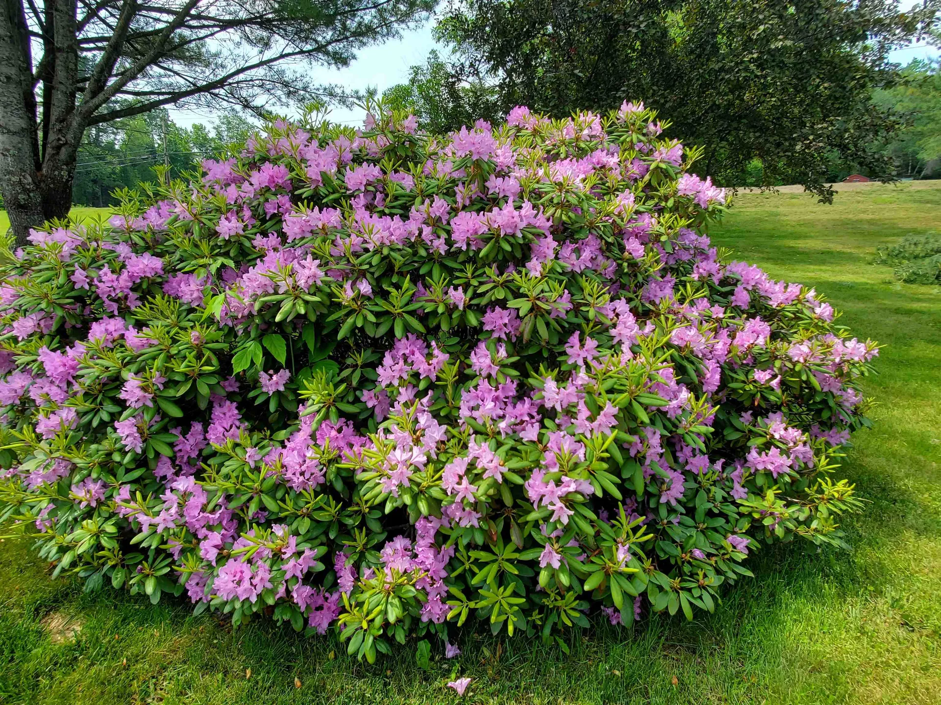 1333 Us Route 4 Canaan NH 03741