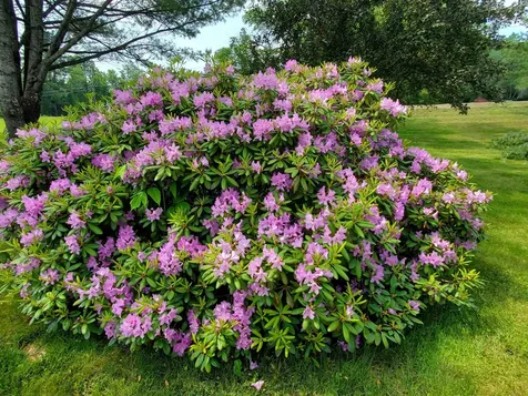 1333 Us Route 4 Canaan NH 03741