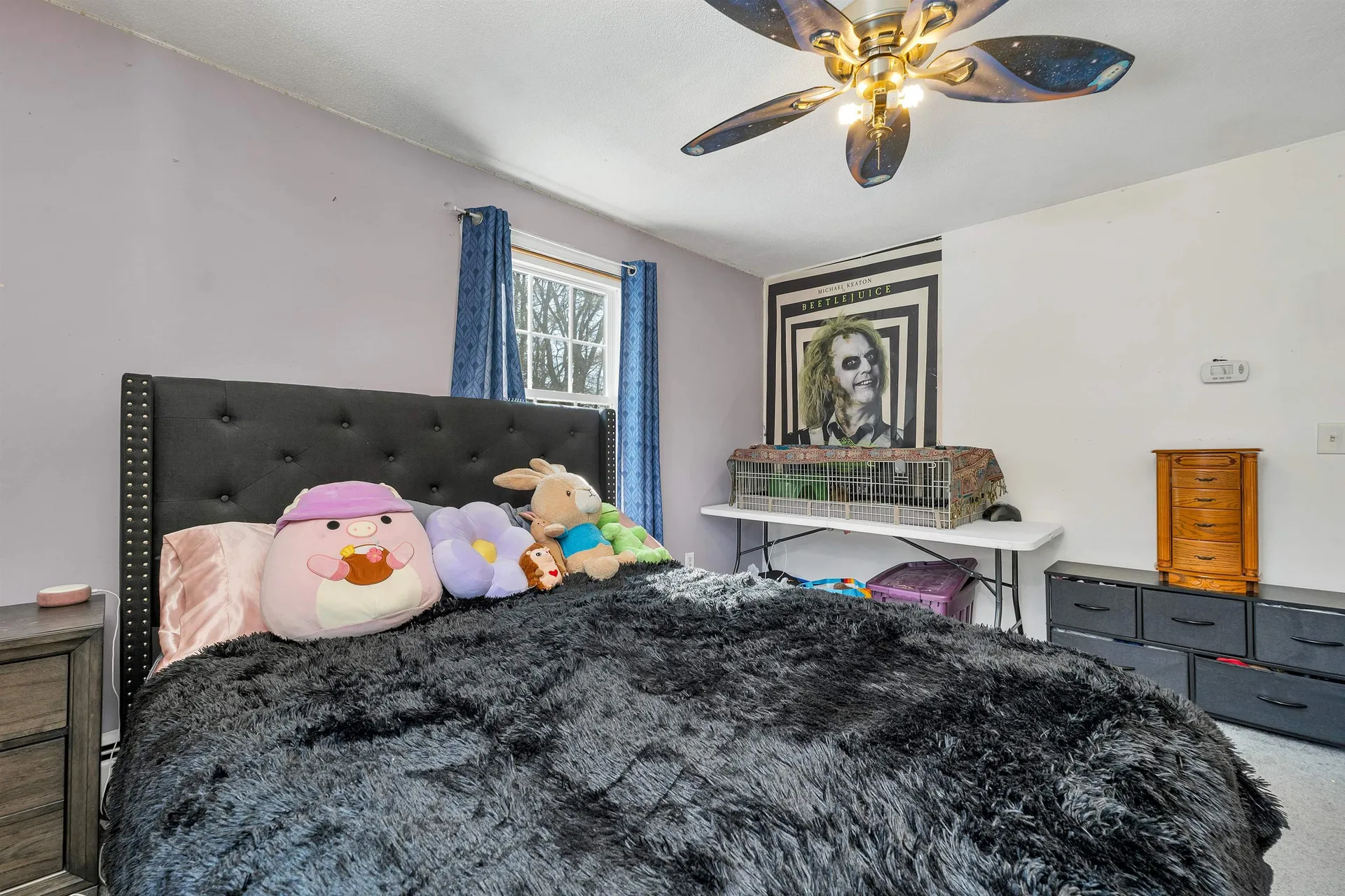 84 Douglas Drive Candia NH 03034