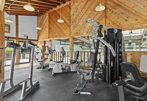 230 Mountainside Drive Stowe VT 05672