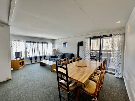 230 Mountainside Drive Stowe VT 05672