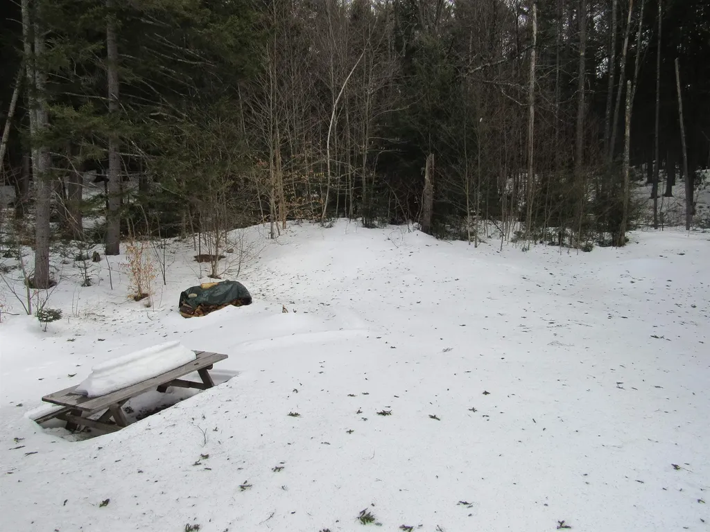 466 Wheeler Road Windham VT 05359