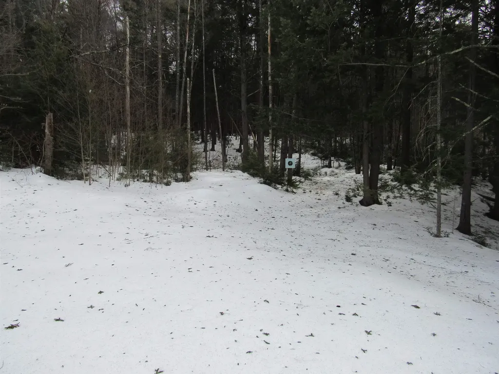 466 Wheeler Road Windham VT 05359